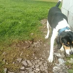 Meet your Posher, Kris